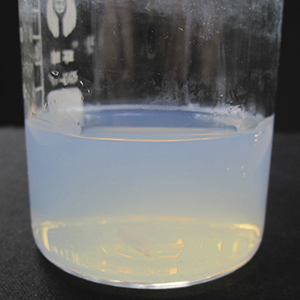 納米稀土氧化物分散液